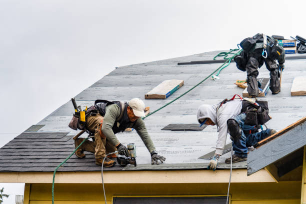 Professional Gutter Installation technician working in Columbus, MN
